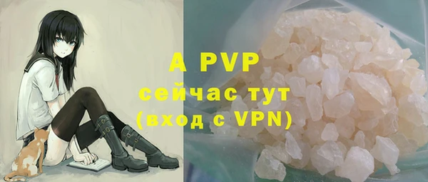 крисы Тихвин