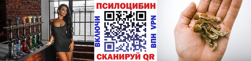 Псилоцибиновые грибы Cubensis  купить  цена  Ильский 